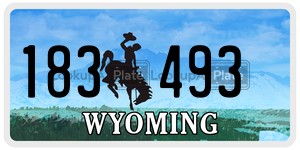 183493  license plate in WY