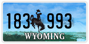 183993  license plate in WY