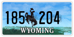 185204  license plate in WY