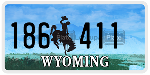 186411  license plate in WY