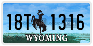 18T1316  license plate in WY