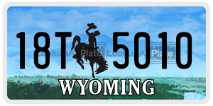 18T5010  license plate in WY