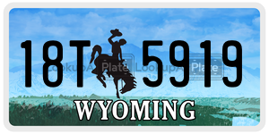 18T5919  license plate in WY