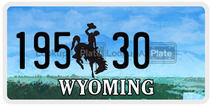 19530  license plate in WY