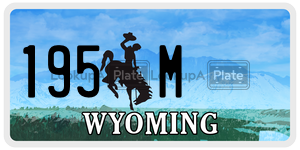 195M license plate in Wyoming