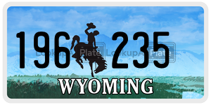 196235  license plate in WY