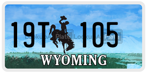 19T105  license plate in WY