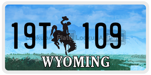 19T109  license plate in WY