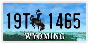 19T1465  license plate in WY