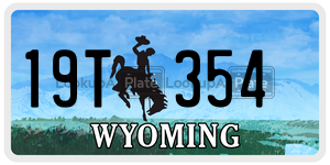 19T354  license plate in WY