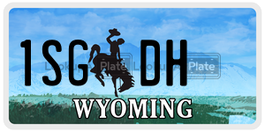 1SGDH  license plate in WY