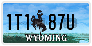 1T187U  license plate in WY