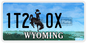 1T20X  license plate in WY