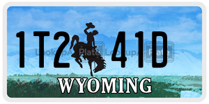 1T241D  license plate in WY
