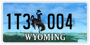 1T3004  license plate in WY