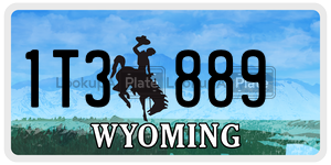 1T3889 license plate in Wyoming