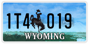 1T4019  license plate in WY
