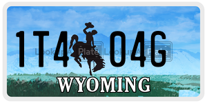 1T404G  license plate in WY