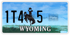 1T45  license plate in WY