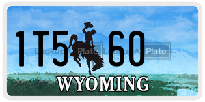 1T560  license plate in WY