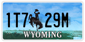 1T729M  license plate in WY