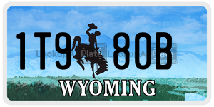 1T980B  license plate in WY