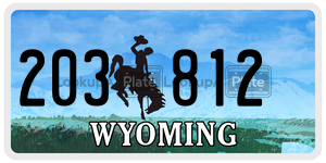 203812 license plate in Wyoming