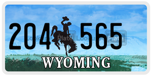 204565  license plate in WY