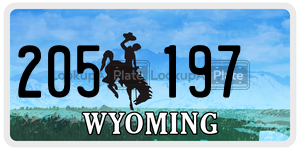 205197  license plate in WY