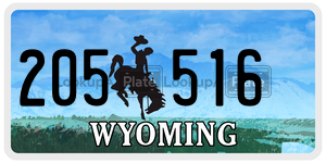 205516  license plate in WY