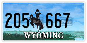 205667  license plate in WY
