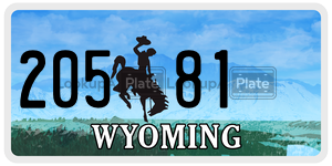 20581  license plate in WY