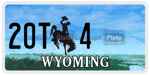 20T4  license plate in WY