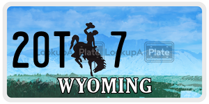 20T7  license plate in WY