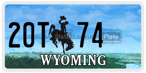 20T74  license plate in WY