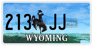 213JJ  license plate in WY