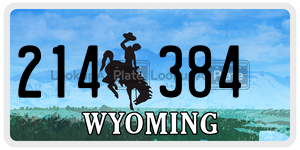 214384  license plate in WY