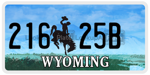 21625B license plate in Wyoming