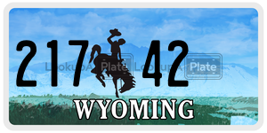 21742  license plate in WY