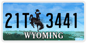 21T3441  license plate in WY