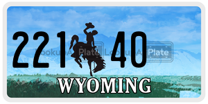 22140  license plate in WY