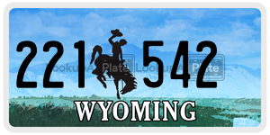 221542  license plate in WY