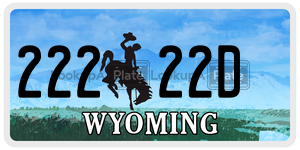 22222D license plate in Wyoming