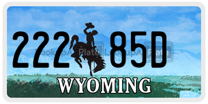 22285D license plate in Wyoming