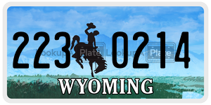 2230214  license plate in WY