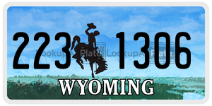 2231306  license plate in WY