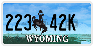 22342K  license plate in WY