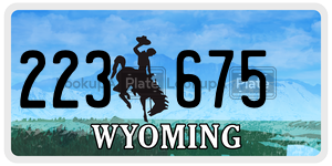 223675  license plate in WY
