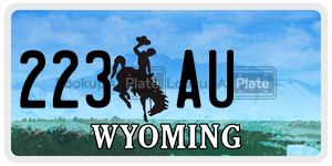 223AU  license plate in WY