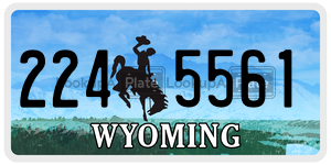 2245561 license plate in Wyoming